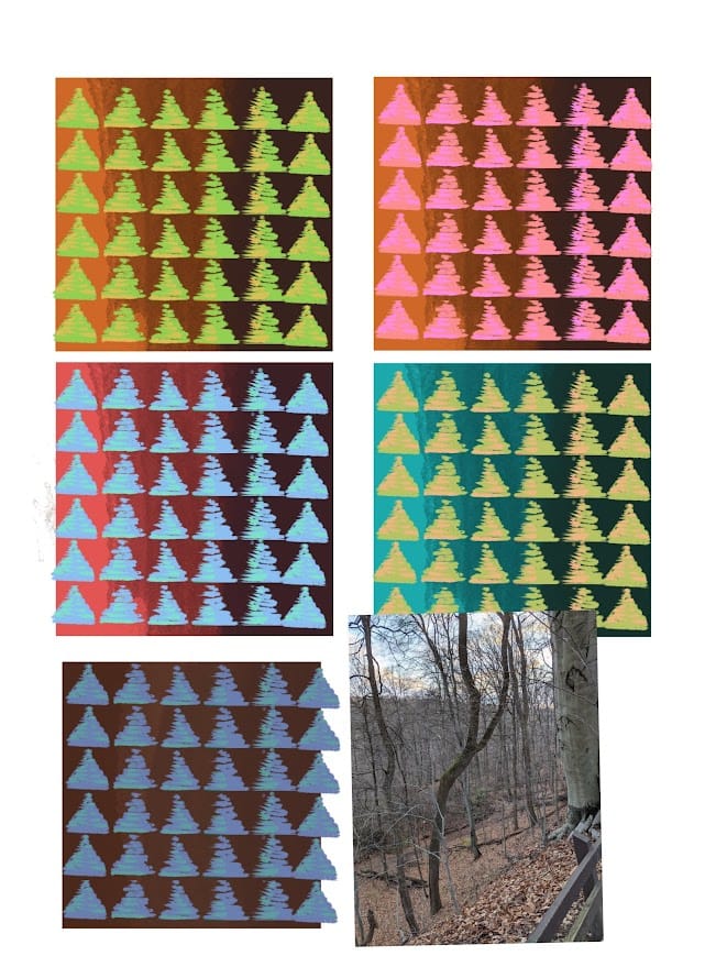 First Friday Open Studio, Where do Colors come from?